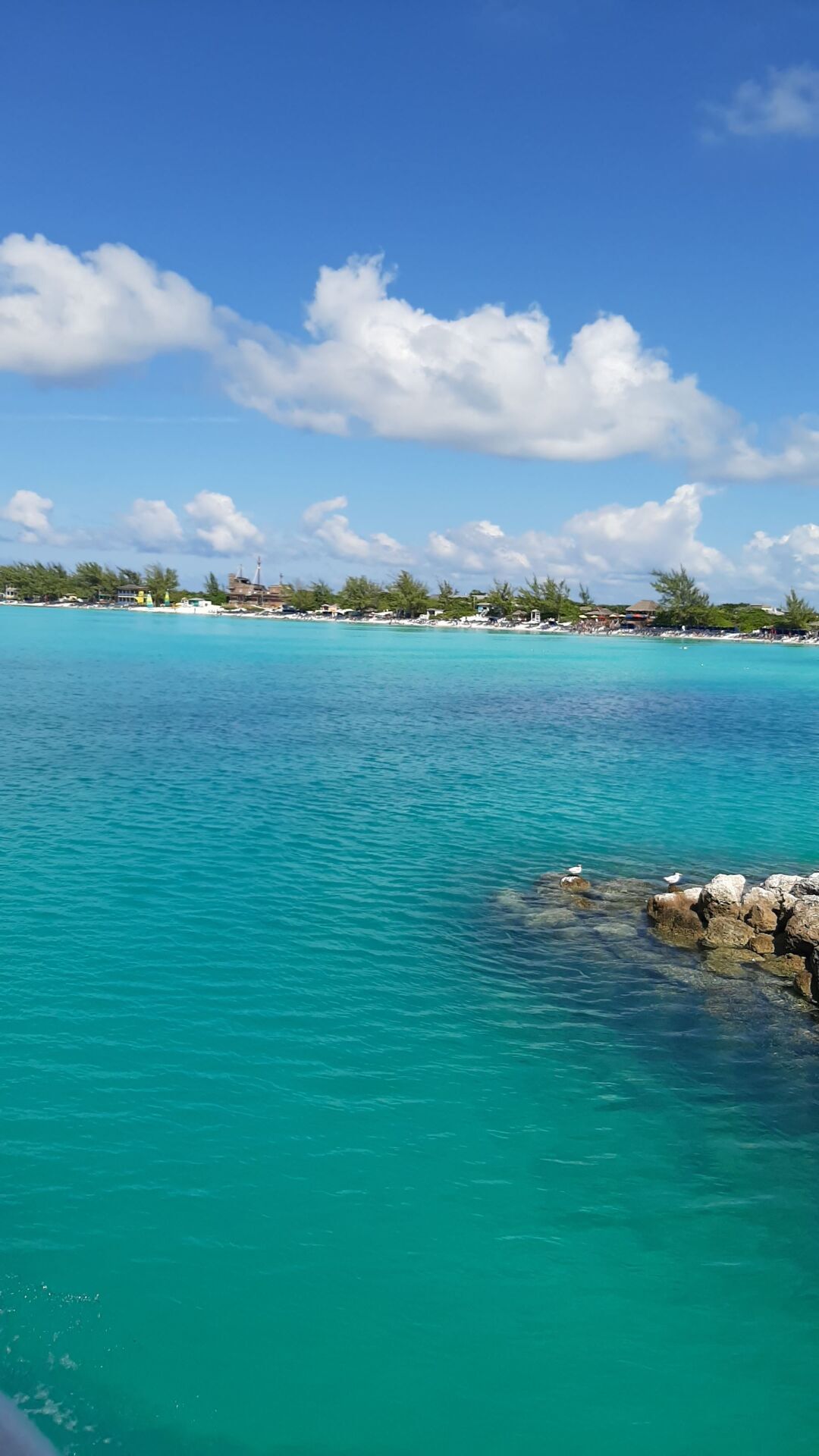 Carnival Sunrise Cruise